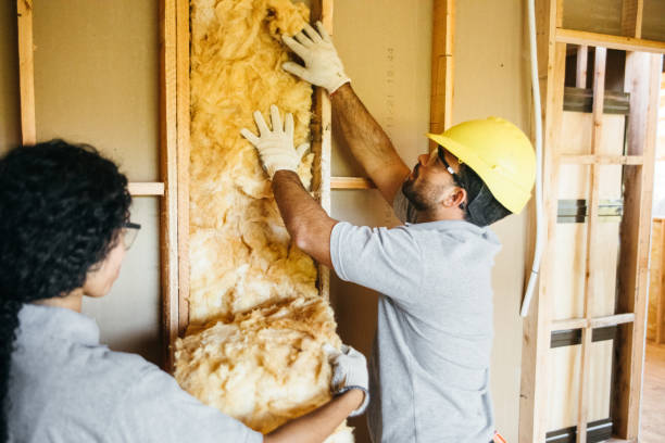 Best Soundproof Insulation Installation  in Brunswick, MD